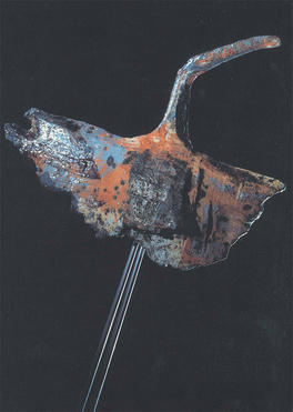 Gerd Baarstrøm - Vadefugl 8x13x35xm