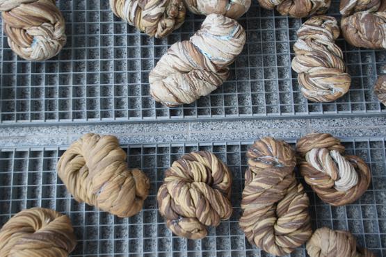 Anke Müffelmann 2016.jpg